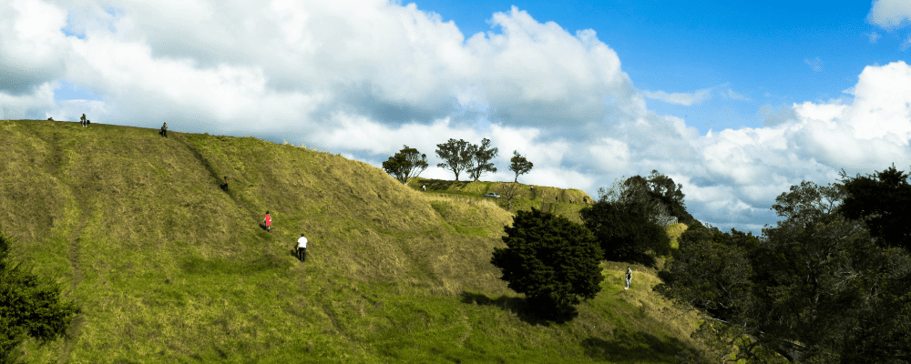 Mt Eden - 10 date ideas in Auckland under $100